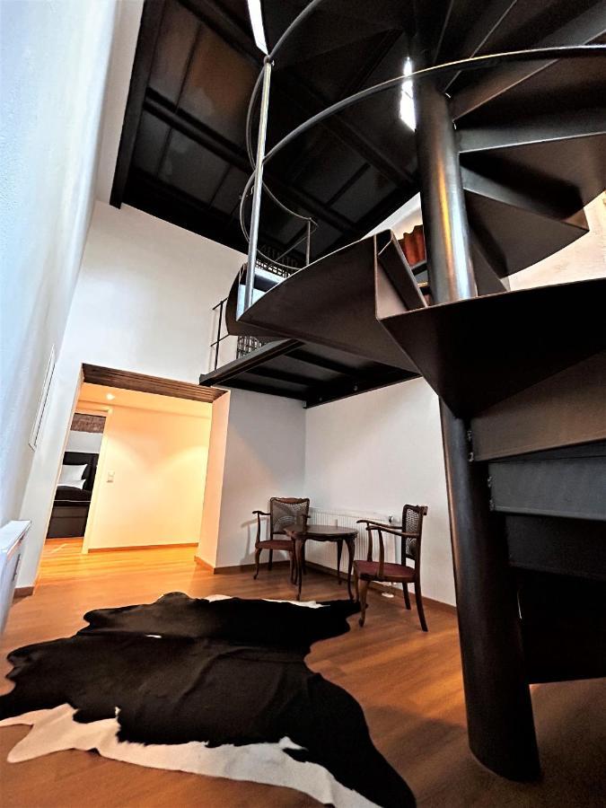 Historical Luxury Homes - Luxus Familien Suite Friburgo in Brisgovia Esterno foto
